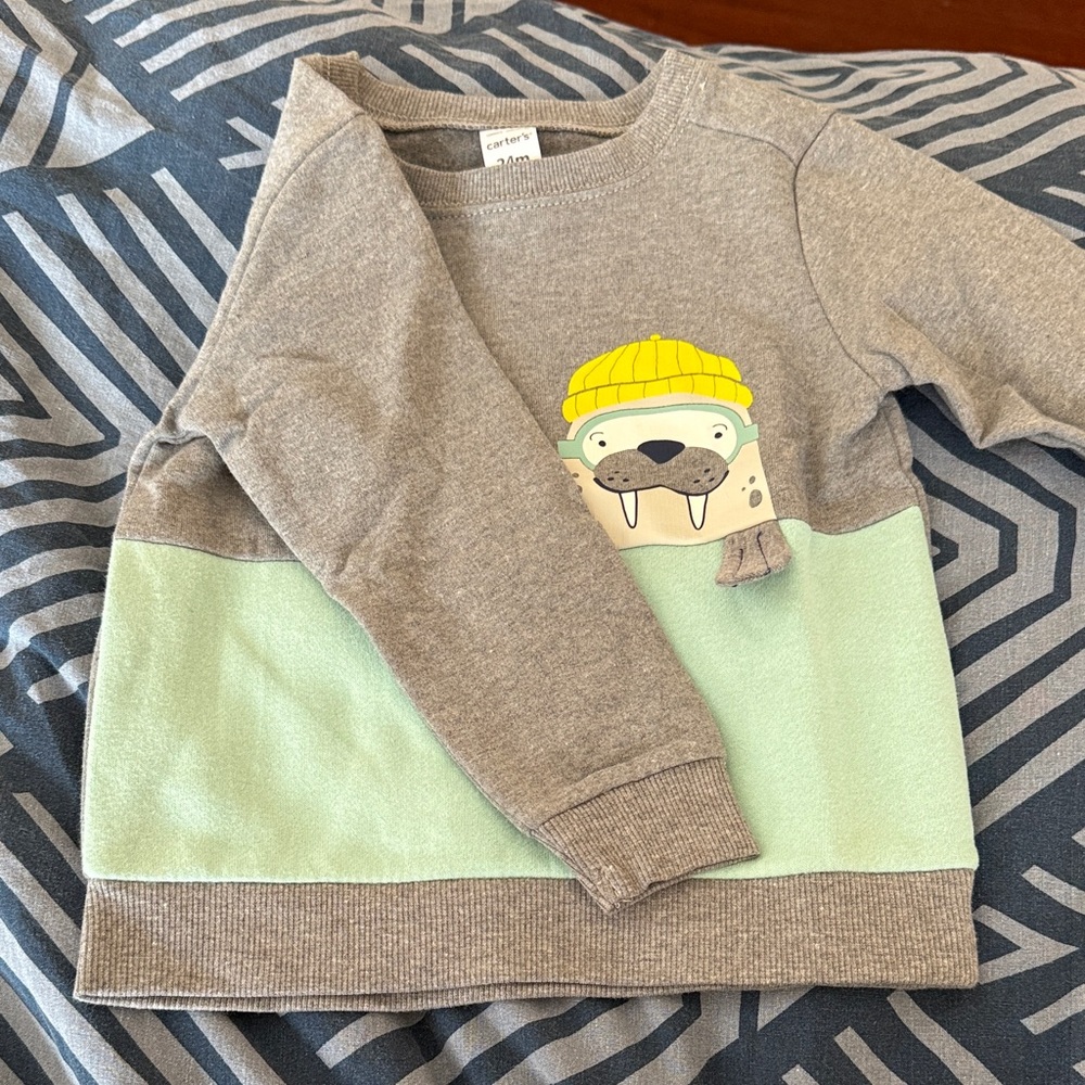 Carter's Gray and Mint Sweatshirt with Monster Graphic